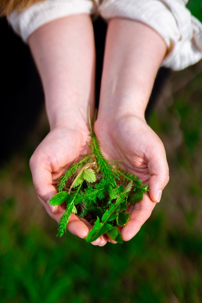 Product image of Villiyrttikurssi ke 20.5.2026 Espoon keskuspuisto