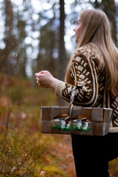 Product image of Sienikurssi Puolarmaarissa 15.9.2026 klo 16.30–19.00