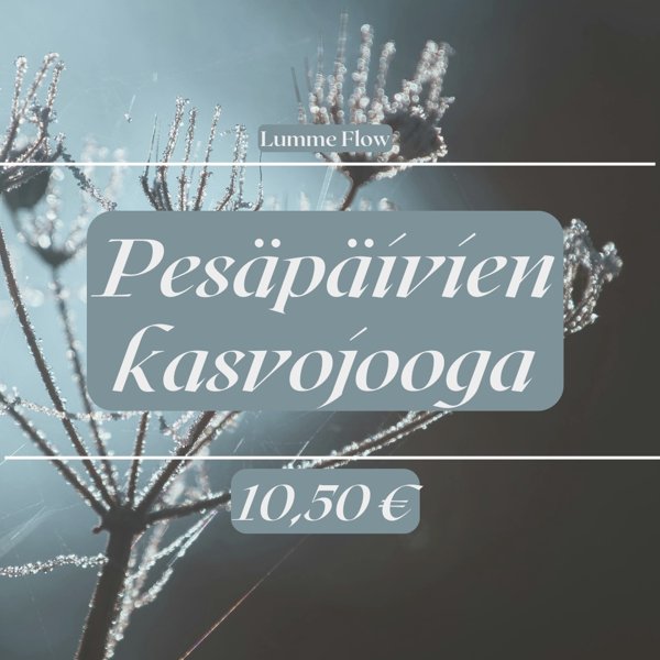 Product image of  Pesäpäivien kasvojooga -tallenne