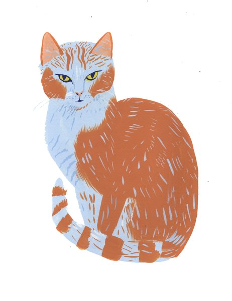 Product image of  Kotikissa