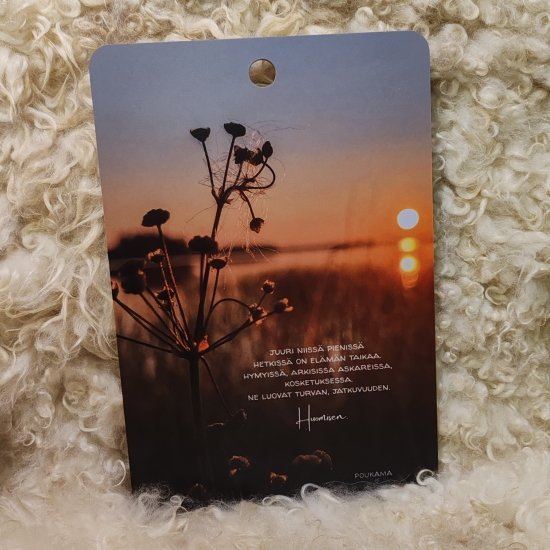 Product image of  Poukaman leikkuulauta - Pienissä hetkissä