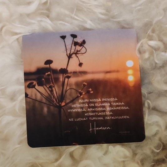 Product image of  Runomagneetti - Pienissä hetkissä (valokuva)