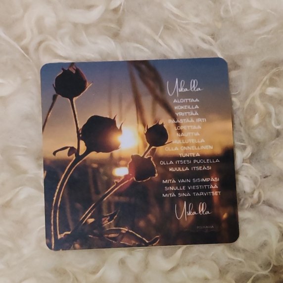 Product image of  Runomagneetti - Uskalla (valokuva)