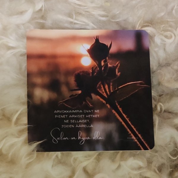 Product image of  Runomagneetti - Sielun on hyvä olla (valokuva)