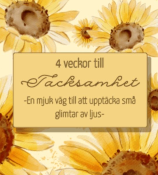Product image of 4 veckors tacksamhetsdagbok – en varsam väg till tacksamhet
