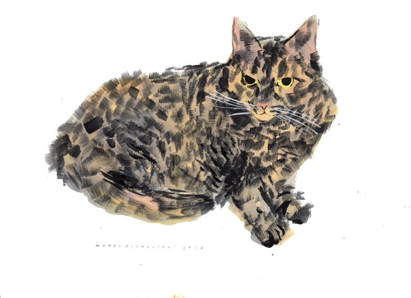 Product image of Penni