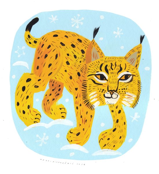 Product image of  Ilves