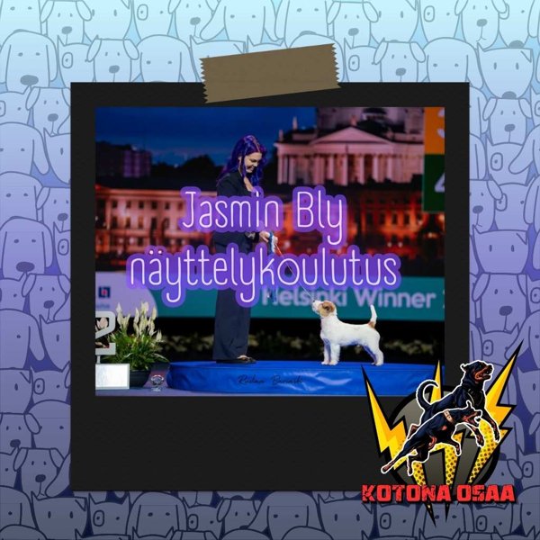 Product image of Jasmin Blyn näyttelykoulutus