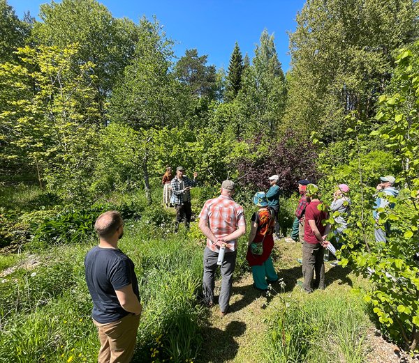 Product image of  Syötävä metsäpuutarha -kurssi 7.6.2026 (Laitila)