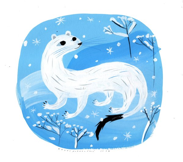 Product image of  Kärppä