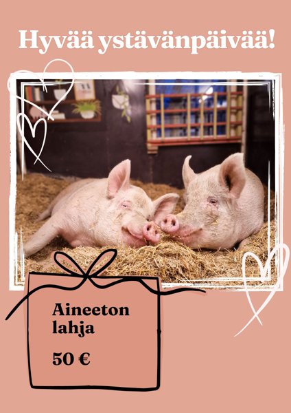 Product image of  Ystävänpäivälahja