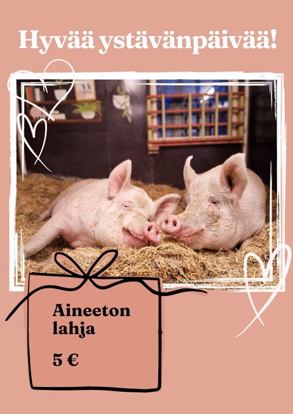 Product image of  Ystävänpäivälahja