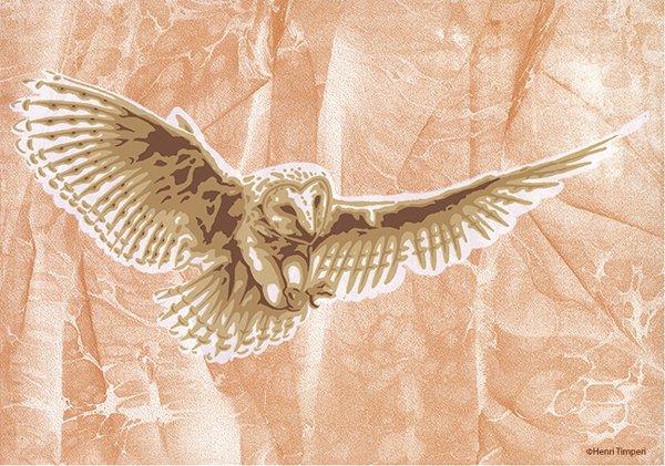 Product image of  Lightness of Flight - Juliste - A4