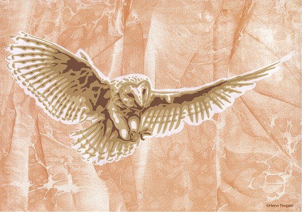 Product image of  Lightness of Flight - Juliste – A3