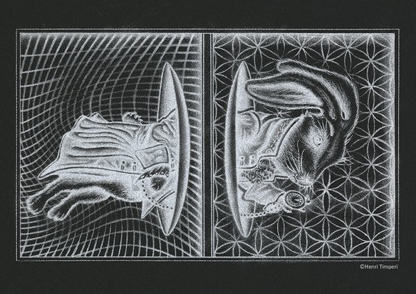 Product image of  White Rabbit (Black) - Juliste - A4