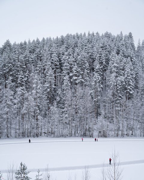 Product image of Luistelurata kannatusmaksu 10e