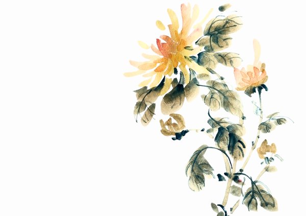 Product image of Neljä jaloa kasvia - Kiinalainen mustemaalaus 17.3. klo 18-20