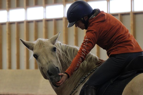 Product image of  Positiivinen vahvistaminen - Näin onnistut | Verkkoluento