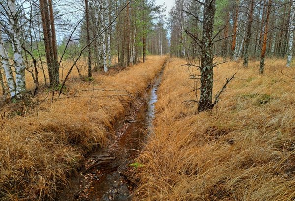 Product image of  Luontoteko, Hullarinhatelo (aari)