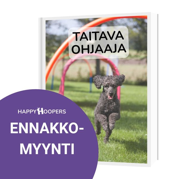 Product image of  TAITAVA OHJAAJA - harjoituskirja ENNAKKOMYYNTI