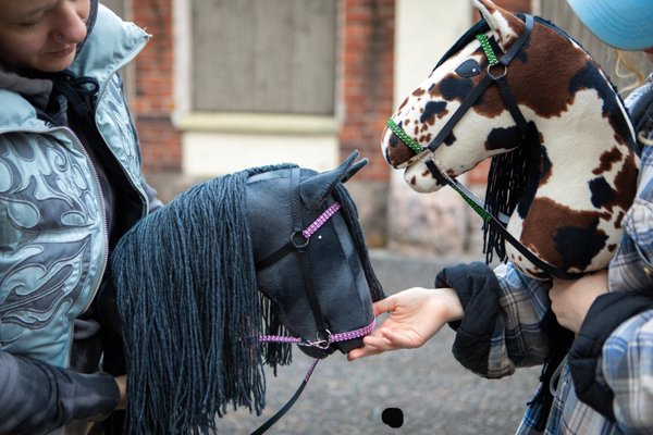 Product image of Tanssitaiteellinen keppihevosleiri 11-16v.