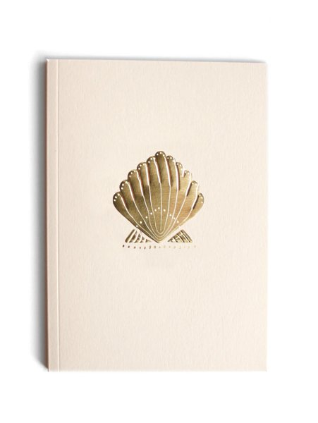 Product image of  s e a s h e l l 🐚 vihko