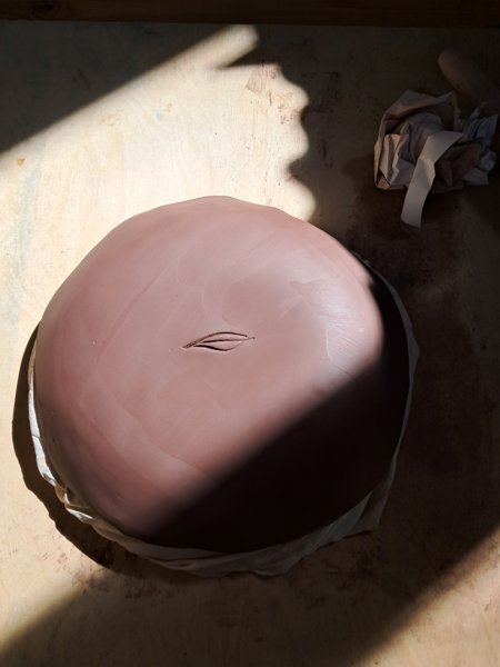 Product image of Botanicus - luonnon muotoja savesta 26.2.2026