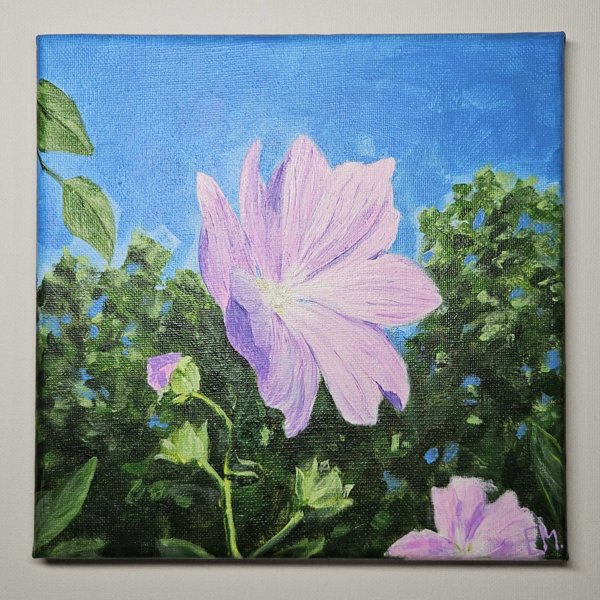 Product image of  Elena Mäntynen: Malva (2025), 20 x 20 cm