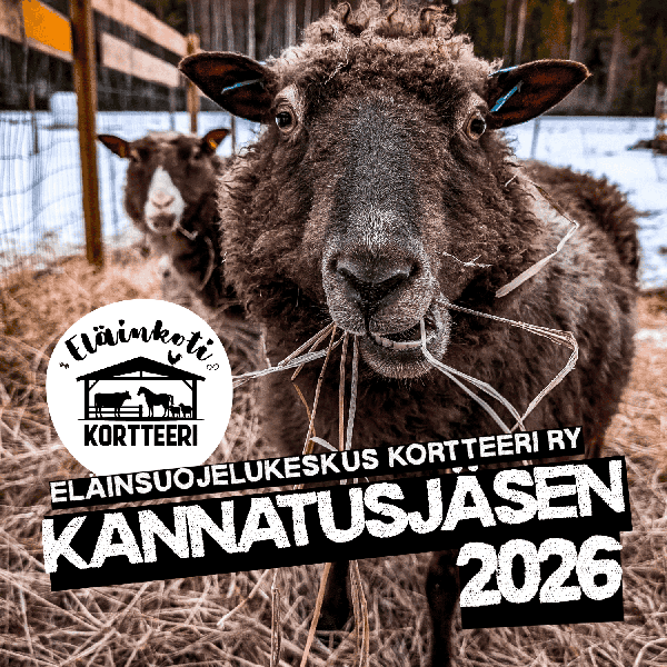 Product image of Kannatusjäsenyys 2026