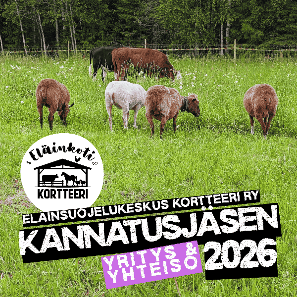Product image of Kannatusjäsenyys YHTEISÖ / YRITYS 2026