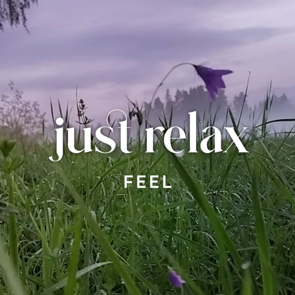 Product image of  Taiderentoutus aiheena NIITTY La 9.5 klo. 14:00 HÄMEENLINNA