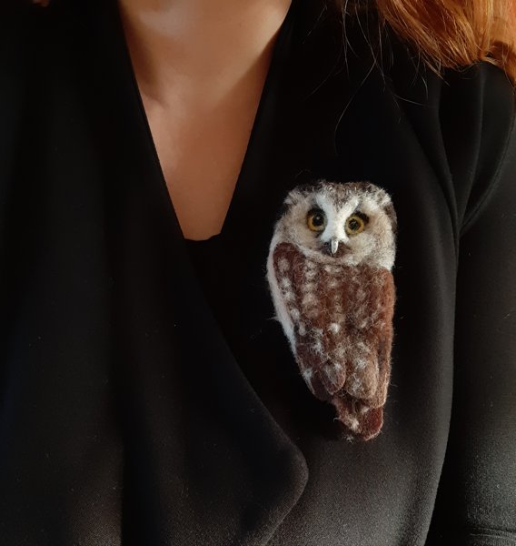 Product image of  Asustekoru PÖLLÖ / MAALISKUU