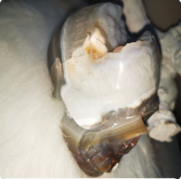 Product image of  AKAATTI PÄÄKALLO