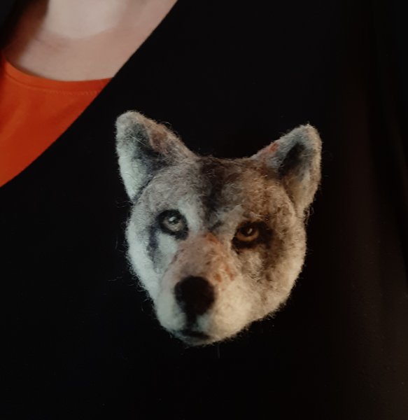 Product image of  Asustekoru susi