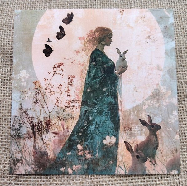 Product image of  Neliökortti, Ostara