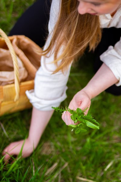 Product image of  Wild Herb Foraging Course & Campfire Meal, Nuuksio, 23 May 2026