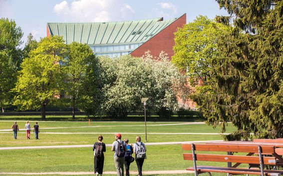 Product image of  Alvarin Kesäjuhla - piknik-paketti