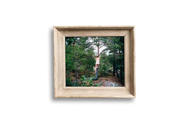 Product image of  Puussa