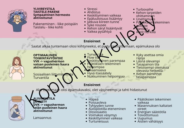 Product image of  Vireystila kartta