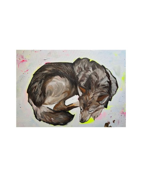 Product image of  ”Susitie” postikortti