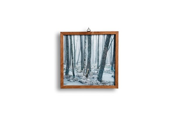 Product image of  Metsä I