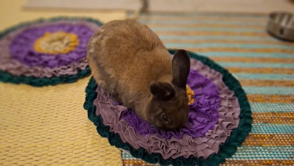 Product image of Joka Pupun Virikepaketti