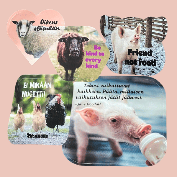 Product image of  Tarrapaketti