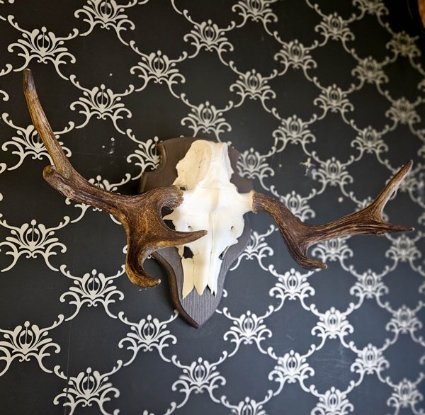 Product image of  Hirven kallotrofee (nro 23)