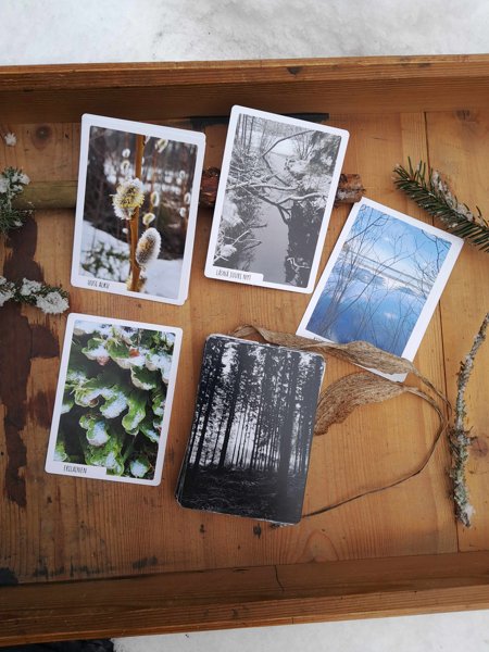 Product image of  Latvarellin Luontokortit 2.0 - uutuus