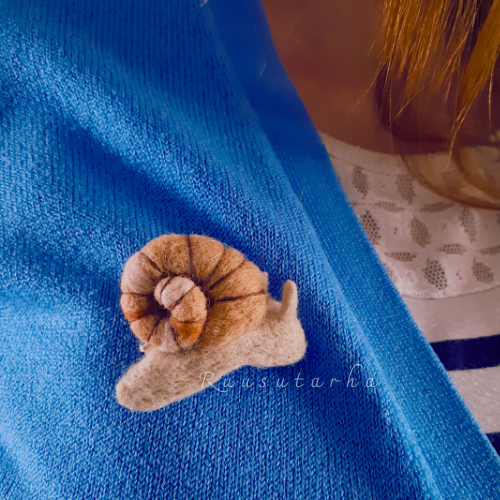 Product image of  Asustekoru Kotilo