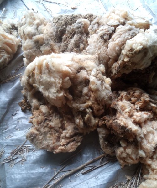 Product image of  Käsittelemätön raakavilla hirvikarkotteeksi