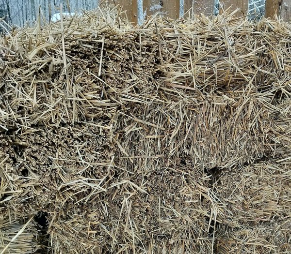 Product image of  Järviruokopaali