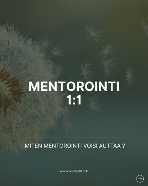 Product image of  Mentorointi 1:1 (1,5h)