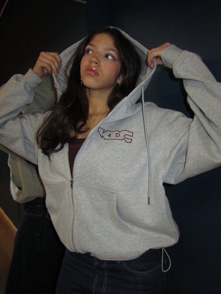 Product image of  Hoodie Light Grey SIZE S